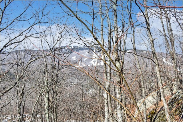 L48.4 Durkin Rd, Johnsburg, NY 12853 - photo 24