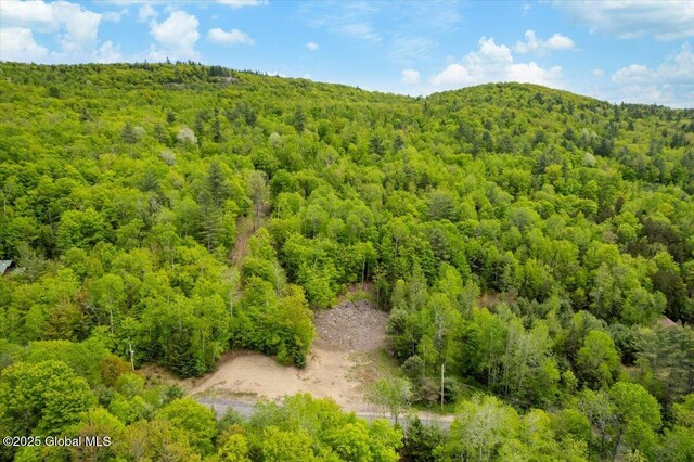 L48.4 Durkin Rd, Johnsburg, NY 12853 - photo 67