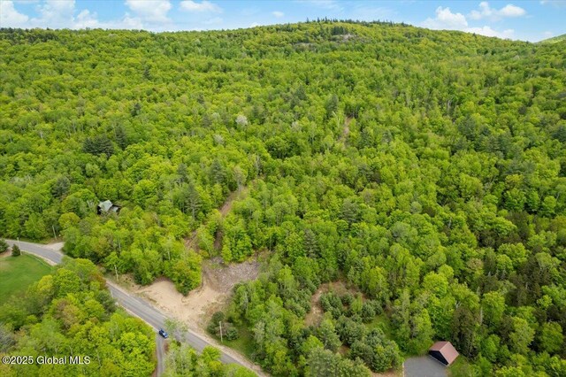 L48.4 Durkin Rd, Johnsburg, NY 12853 - photo 68