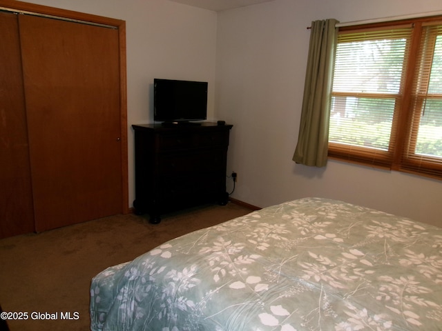 carpeted bedroom featuring a closet
