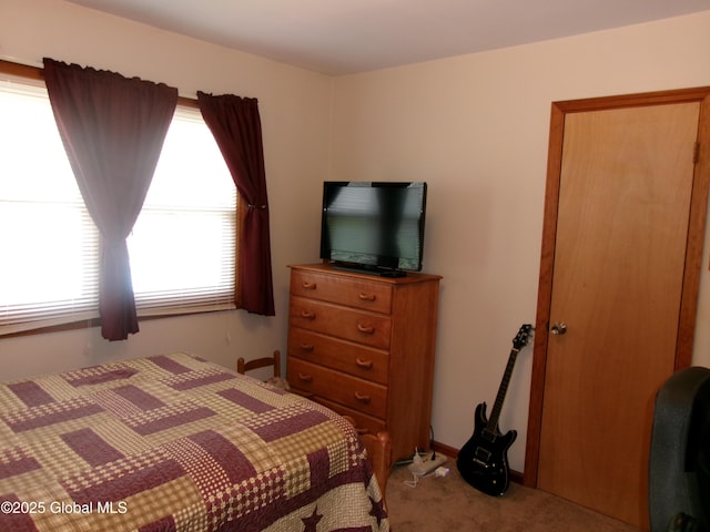 bedroom with carpet floors
