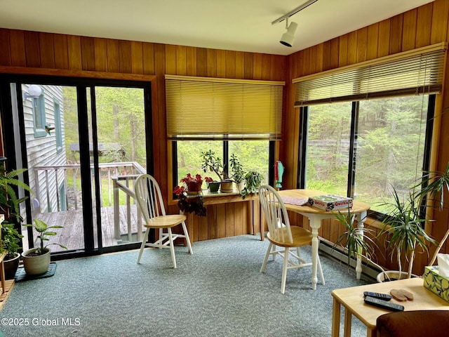 sunroom / solarium with track lighting and baseboard heating