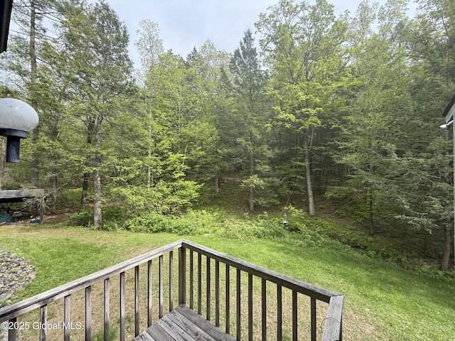 view of green lawn