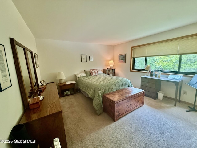 bedroom featuring carpet floors