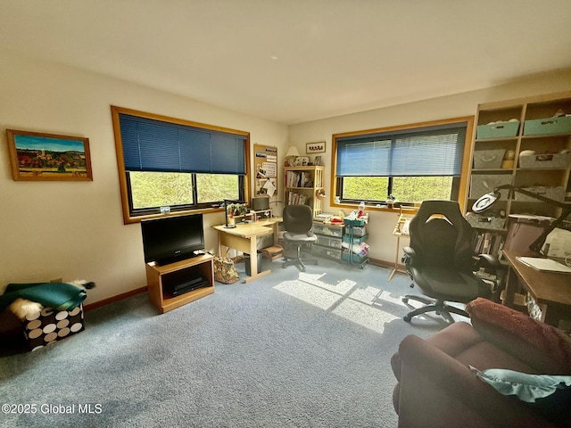 carpeted office space with plenty of natural light and baseboards