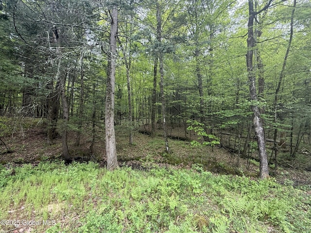 view of wooded area