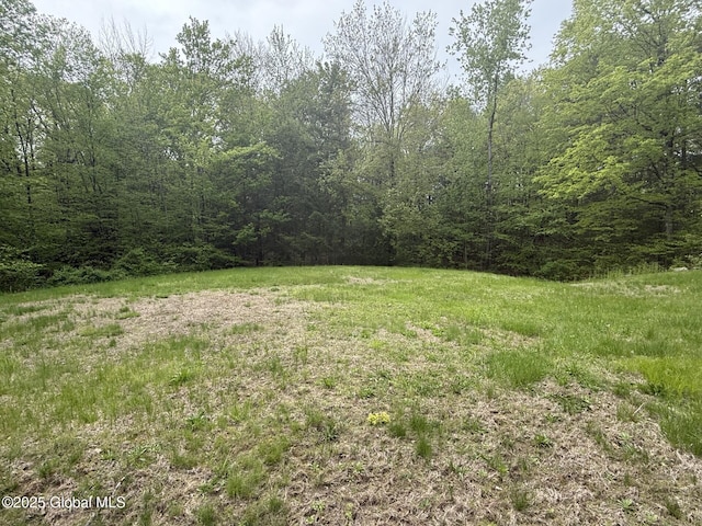 view of yard featuring a wooded view