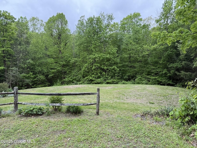 view of yard featuring a wooded view