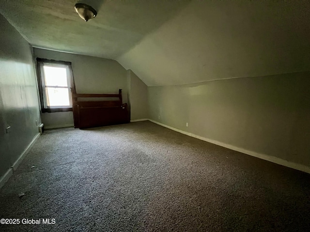254 2nd St, Albany, NY 12206 - additional living space featuring lofted ceiling and carpet floors