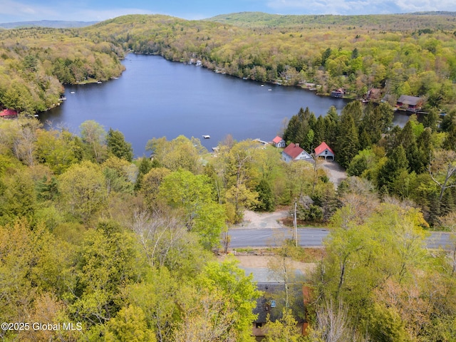 drone / aerial view of a forest and a large body of water