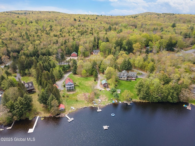aerial overview of property's location featuring a forest and a nearby body of water
