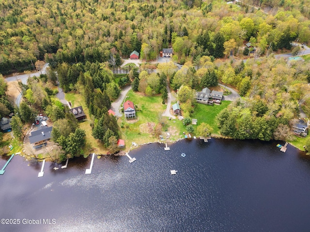 aerial view of property's location with a nearby body of water and a forest