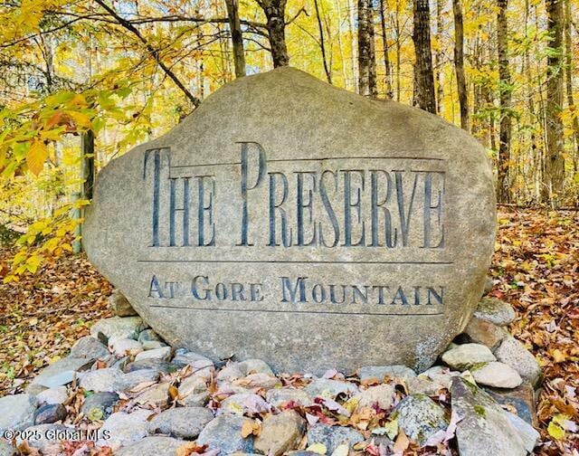 106 Mountain Path, Johnsburg, NY 12853 - community / neighborhood sign with a forest view