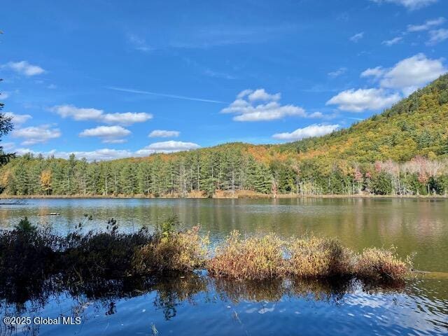 106 Mountain Path, Johnsburg, NY 12853 - water view featuring a heavily wooded area
