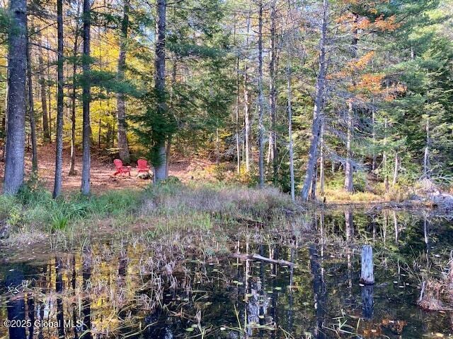 106 Mountain Path, Johnsburg, NY 12853 - view of wooded area