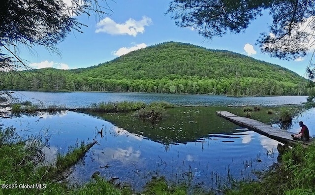 106 Mountain Path, Johnsburg, NY 12853 - water view with a forest
