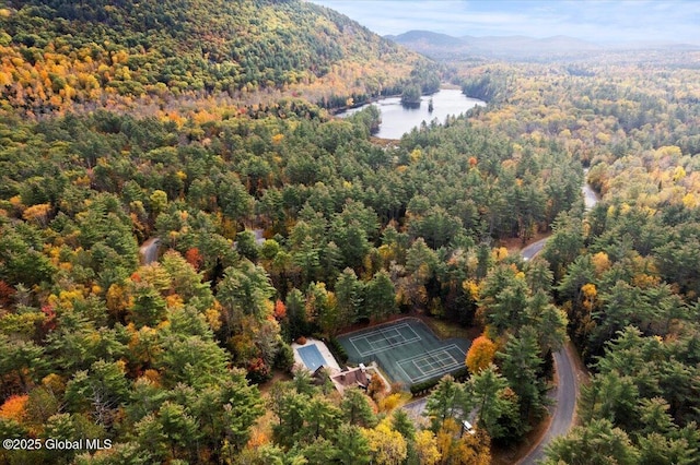 106 Mountain Path, Johnsburg, NY 12853 - drone / aerial view of a forest and a water and mountain view
