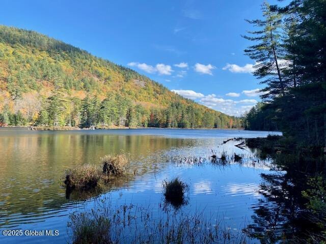 106 Mountain Path, Johnsburg, NY 12853 - water view featuring a heavily wooded area