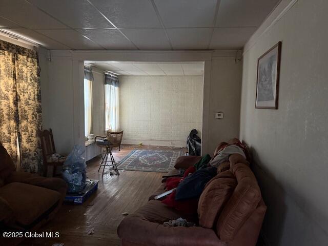 living area with wood finished floors, a drop ceiling, and radiator