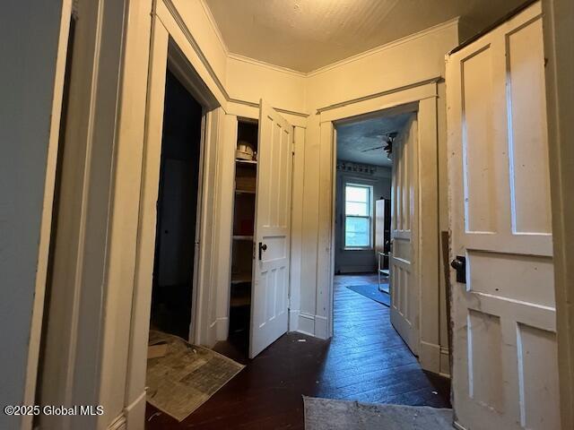 hall featuring dark wood-style floors and ornamental molding