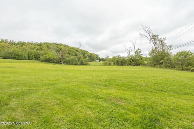 263 Conover Rd, Esperance, NY 12066