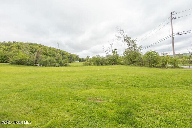 263 Conover Rd, Esperance, NY 12066