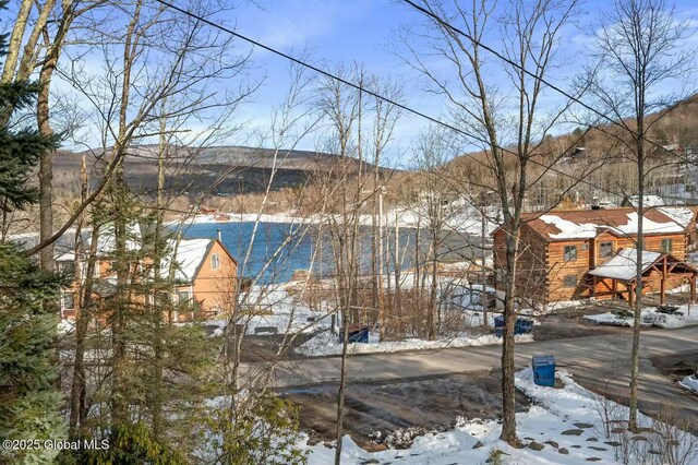239 Pine Ln, Hunter, NY 12442 - photo 5