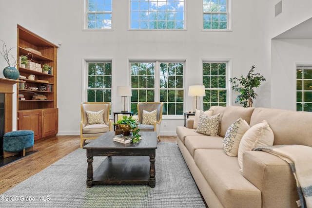 6004 Queen Mary Ct, Schenectady, NY 12303 - living room featuring a high ceiling, plenty of natural light, and wood finished floors