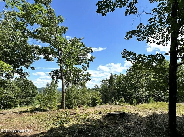 981 New Hague Rd, Hague, NY 12836