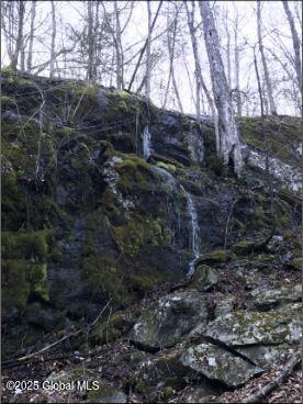 981 New Hague Rd, Hague, NY 12836