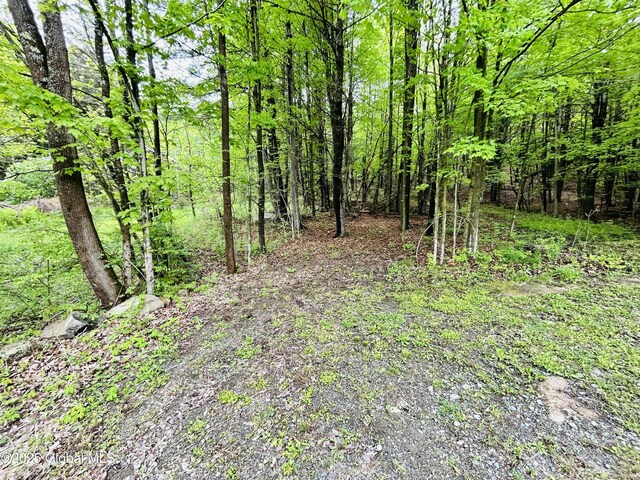 981 New Hague Rd, Hague, NY 12836