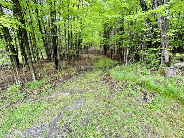 981 New Hague Rd, Hague, NY 12836