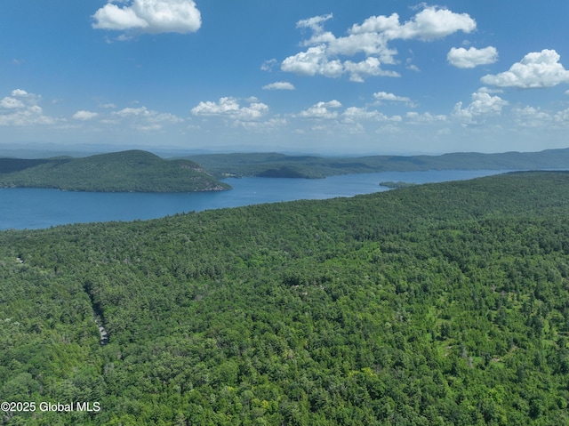 981 New Hague Rd, Hague, NY 12836