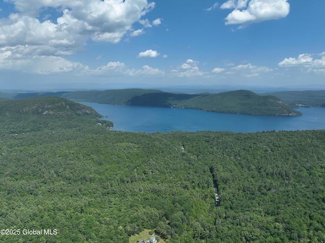 981 New Hague Rd, Hague, NY 12836