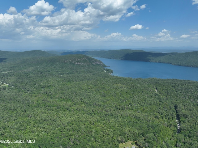 981 New Hague Rd, Hague, NY 12836