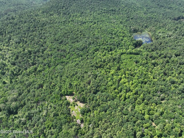 981 New Hague Rd, Hague, NY 12836