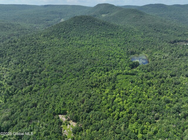 981 New Hague Rd, Hague, NY 12836