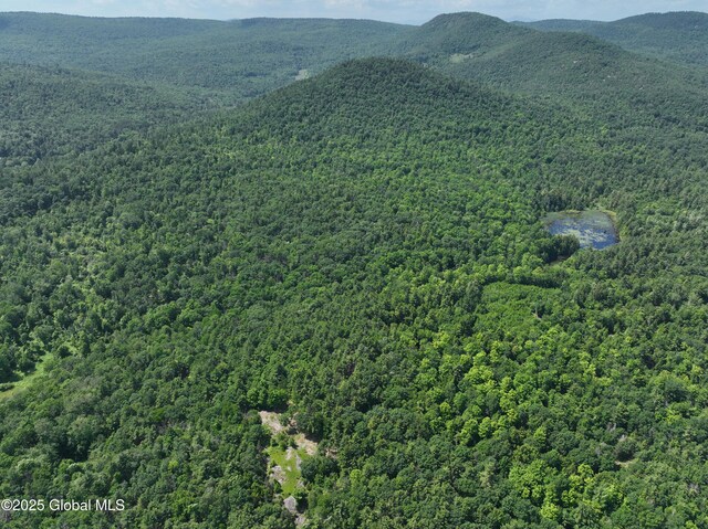981 New Hague Rd, Hague, NY 12836