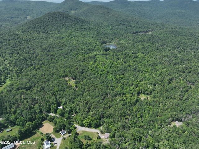 981 New Hague Rd, Hague, NY 12836