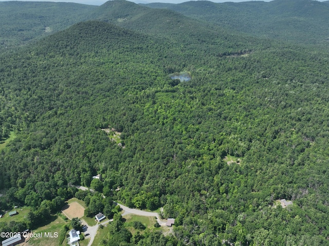 981 New Hague Rd, Hague, NY 12836
