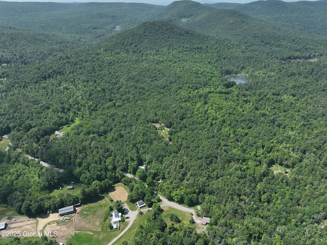 981 New Hague Rd, Hague, NY 12836