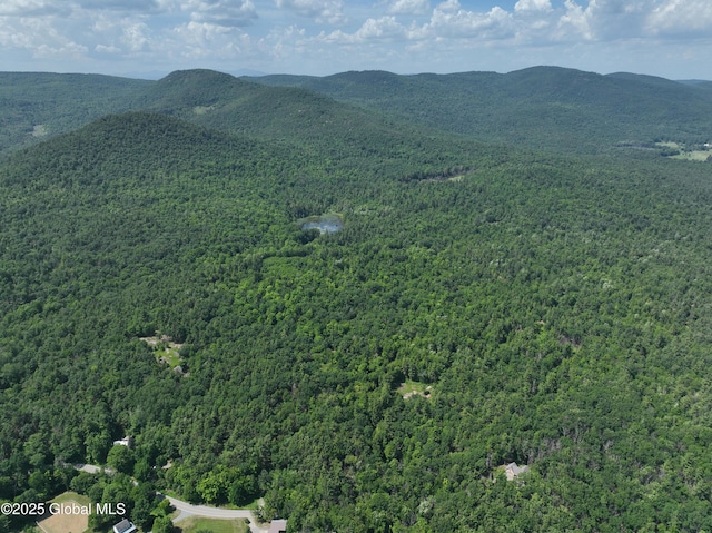 981 New Hague Rd, Hague, NY 12836