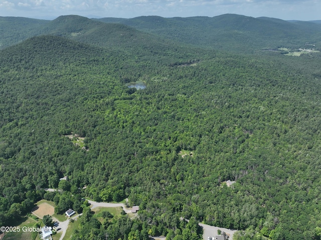 981 New Hague Rd, Hague, NY 12836