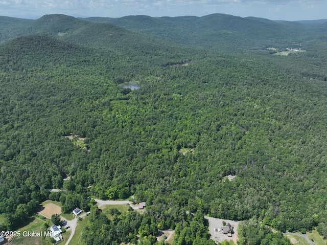 981 New Hague Rd, Hague, NY 12836