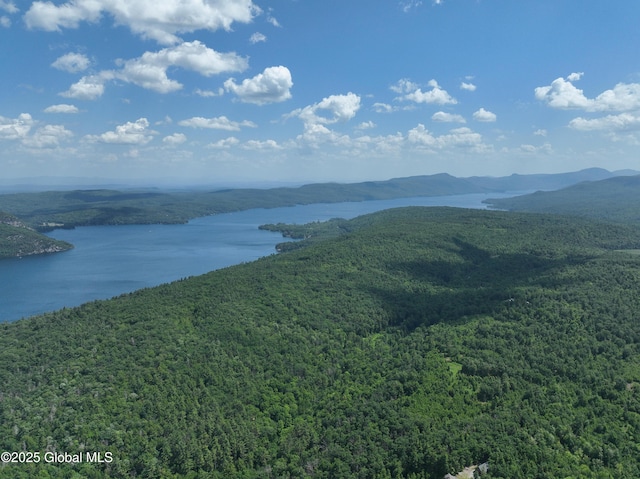 981 New Hague Rd, Hague, NY 12836