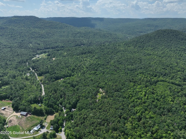 981 New Hague Rd, Hague, NY 12836