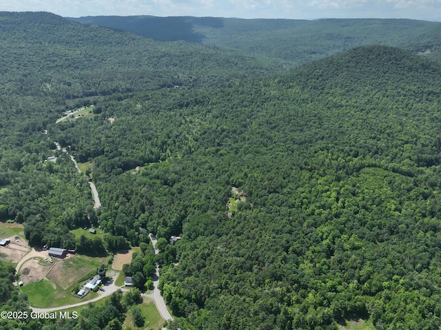 981 New Hague Rd, Hague, NY 12836