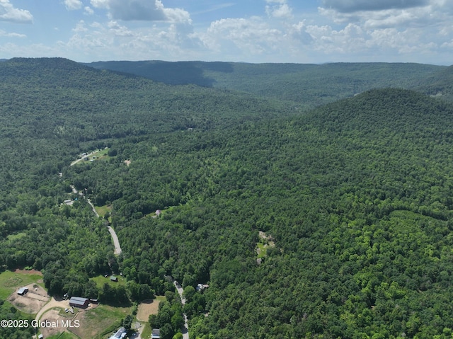 981 New Hague Rd, Hague, NY 12836