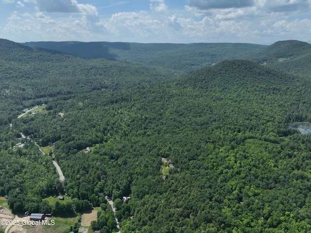 981 New Hague Rd, Hague, NY 12836