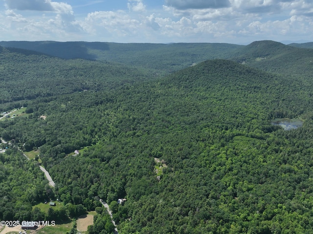 981 New Hague Rd, Hague, NY 12836
